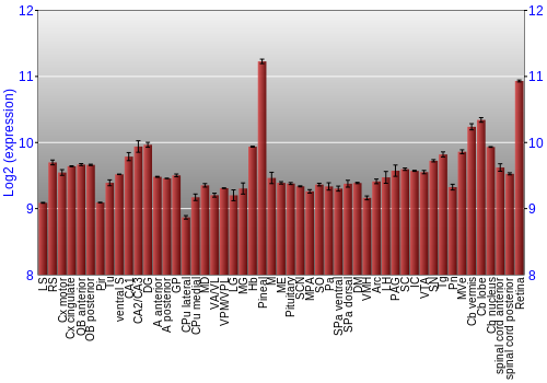 Expression graph