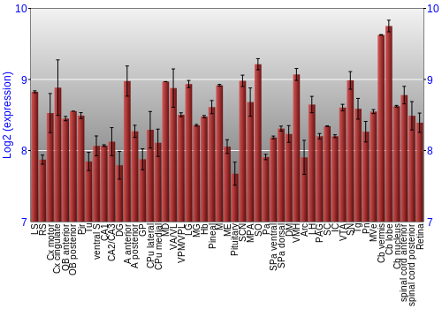 Expression graph