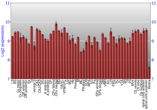 Expression graph