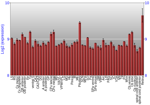 Expression graph