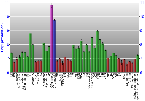 Multi-state expression graph