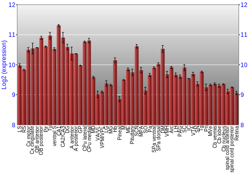 Expression graph