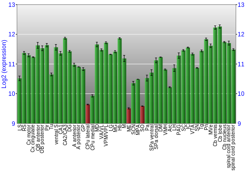 Multi-state expression graph
