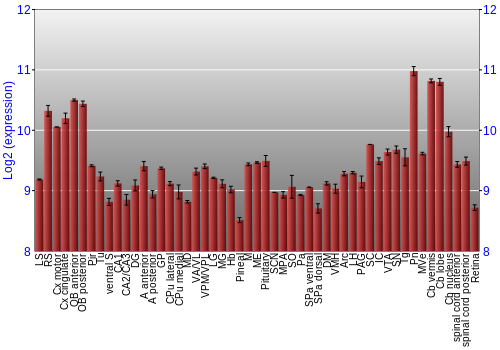 Expression graph
