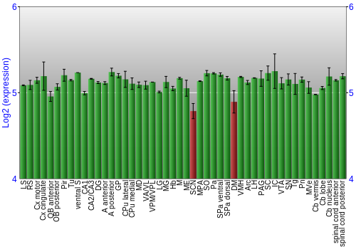 Multi-state expression graph