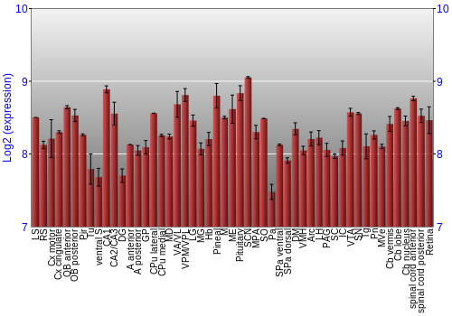 Expression graph