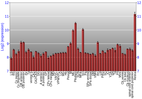 Expression graph