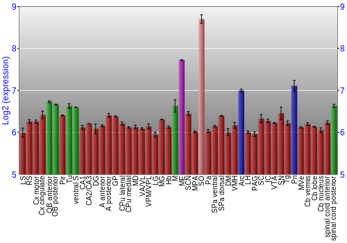 Multi-state expression graph