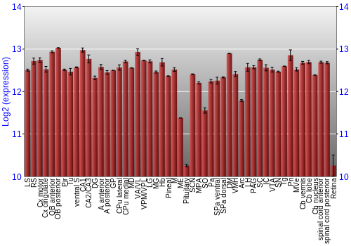 Expression graph