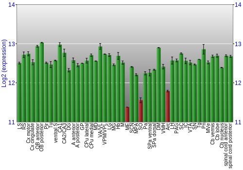 Multi-state expression graph