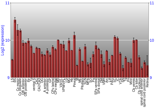 Expression graph