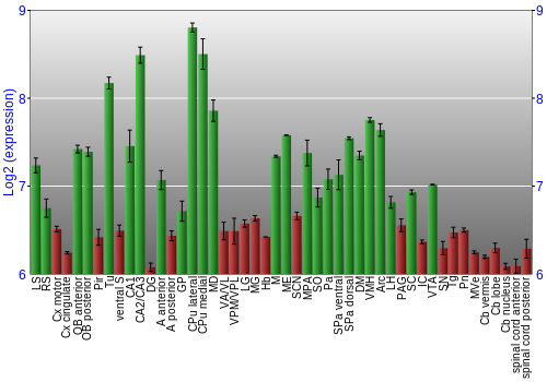 Multi-state expression graph