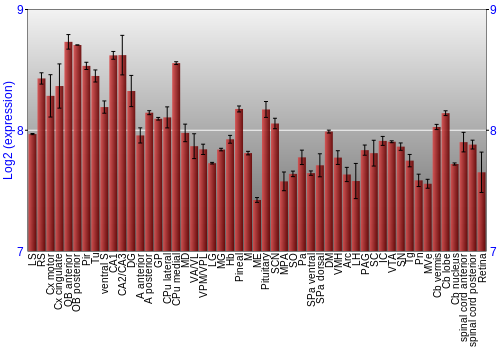 Expression graph