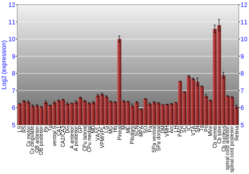 Expression graph