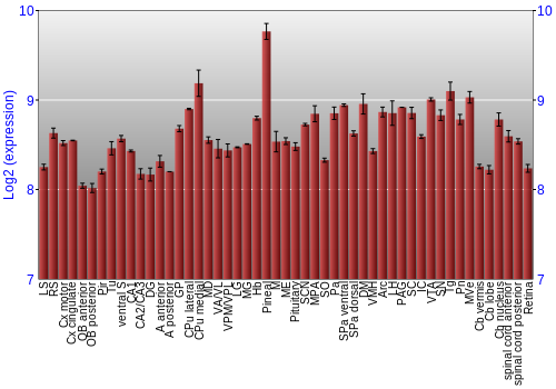 Expression graph