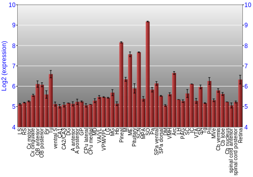Expression graph