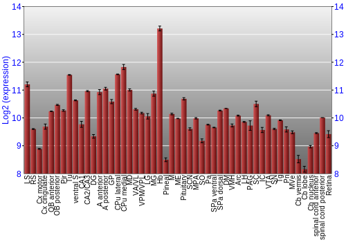 Expression graph