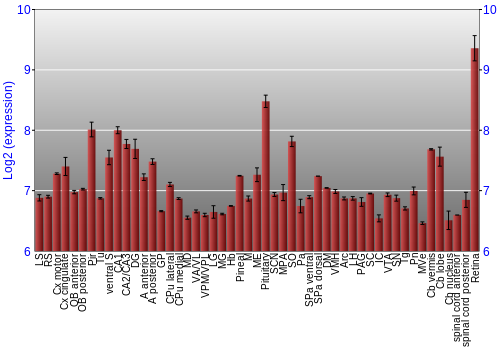 Expression graph