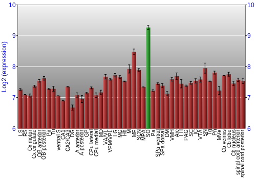 Multi-state expression graph