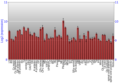 Expression graph