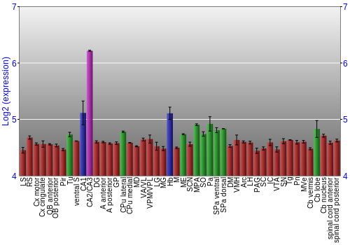 Multi-state expression graph