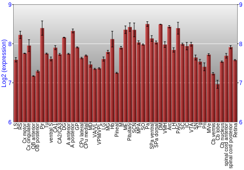 Expression graph