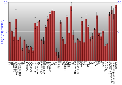 Expression graph