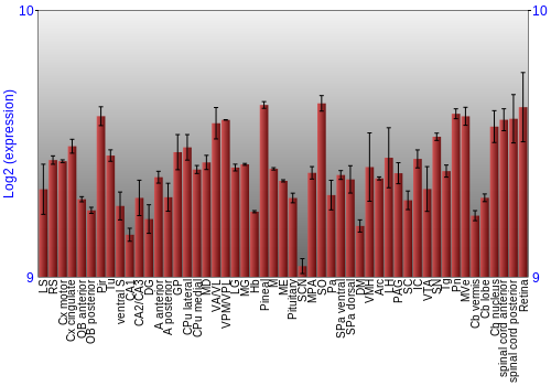Expression graph
