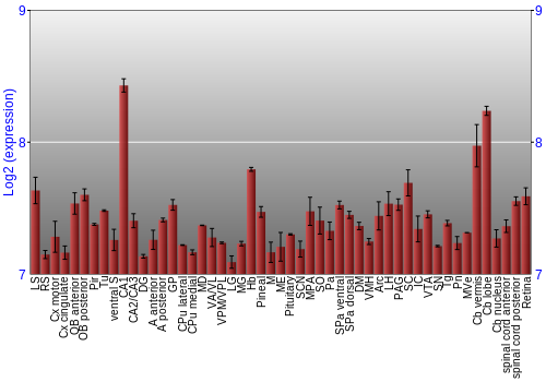 Expression graph