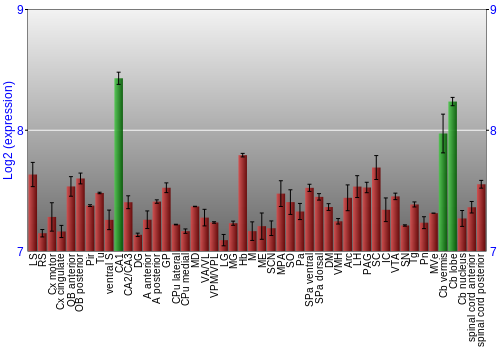 Multi-state expression graph