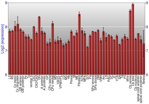 Expression graph