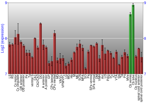 Multi-state expression graph