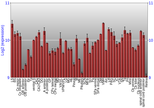 Expression graph
