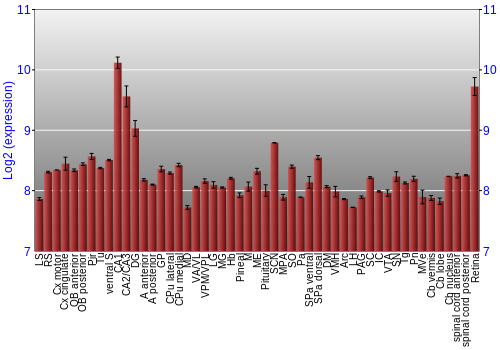 Expression graph