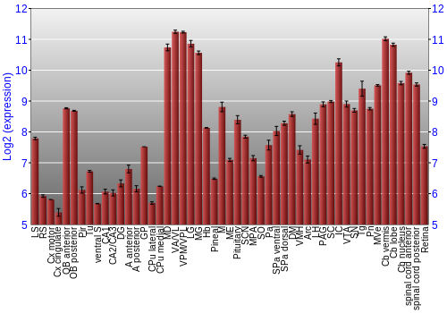 Expression graph