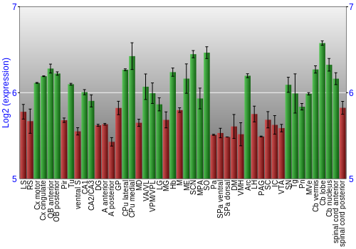 Multi-state expression graph