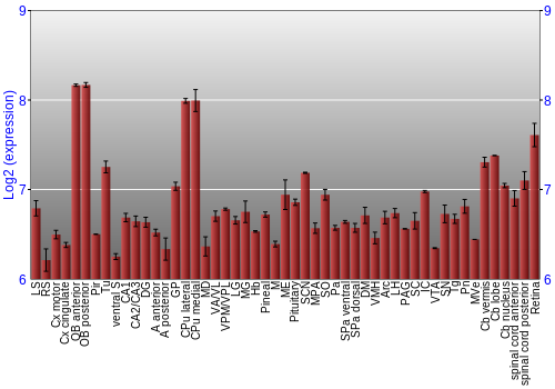 Expression graph
