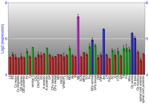 Multi-state expression graph