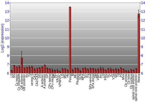 Expression graph