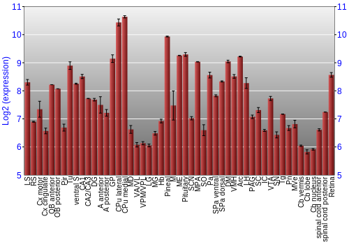 Expression graph