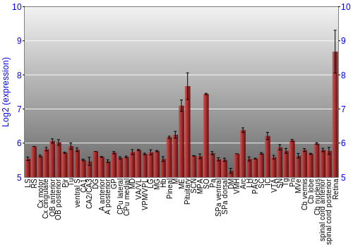 Expression graph