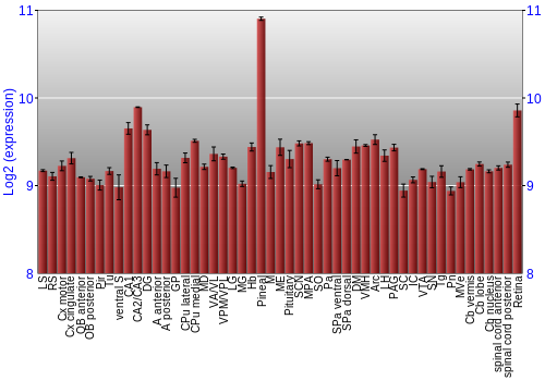 Expression graph