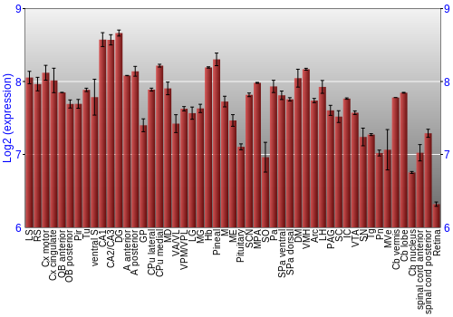 Expression graph