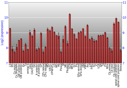 Expression graph