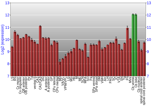 Multi-state expression graph