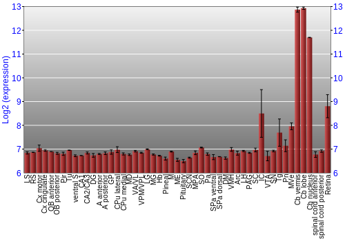 Expression graph