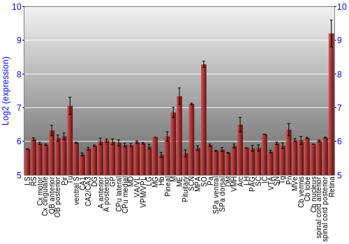 Expression graph