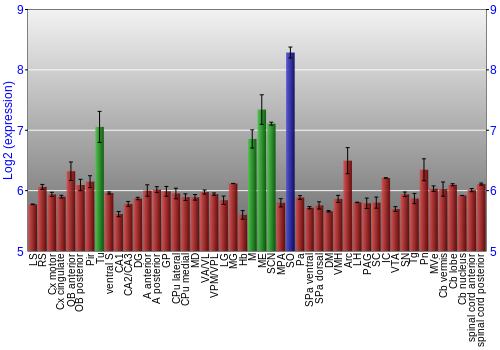 Multi-state expression graph