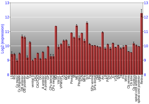 Expression graph