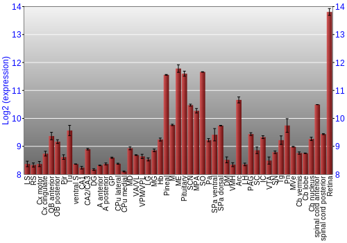 Expression graph